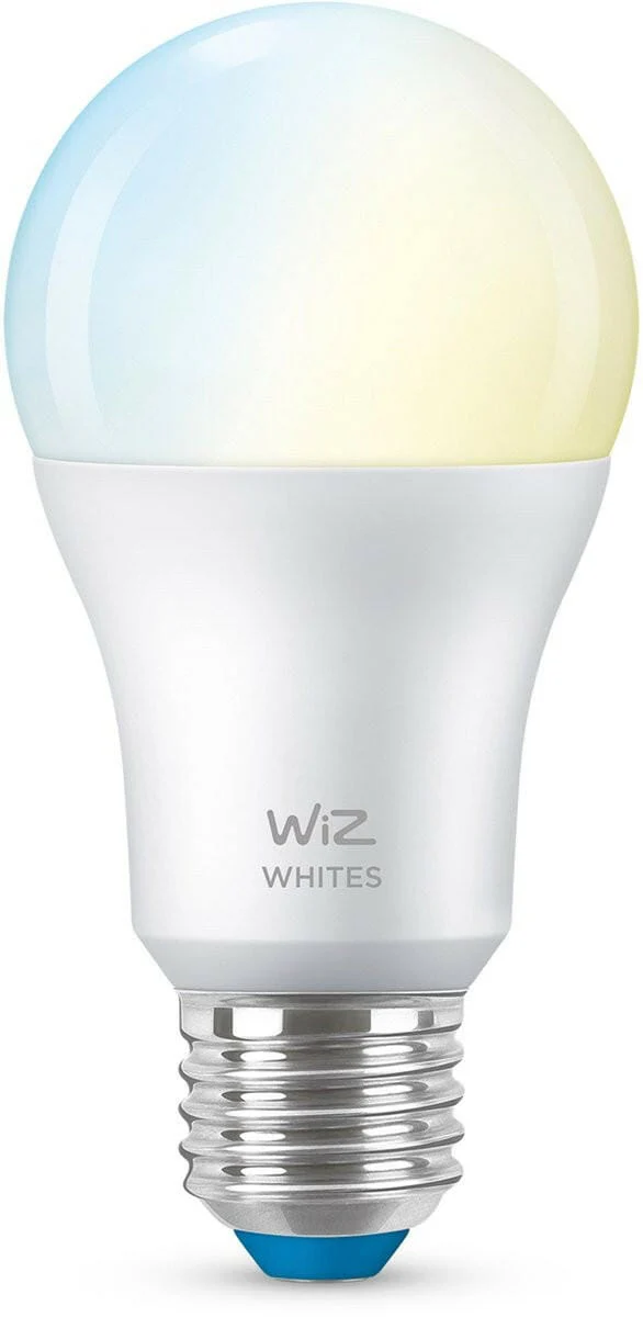 WIZ WFB A60 GLOBE TW 60W E27 - Image 2